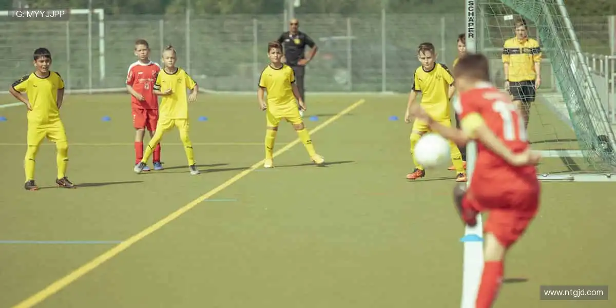 🏀高清直播，每一秒都让你心跳加速！